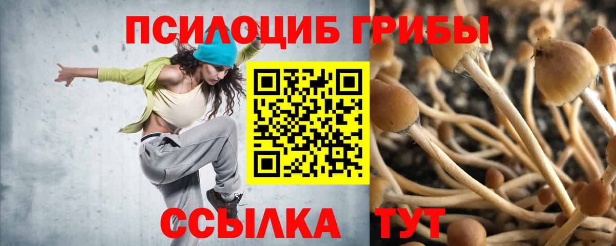 Галлюциногенные грибы GOLDEN TEACHER  Вход с VPN  Галлюциногенные грибы ЛСД  Кунгур 